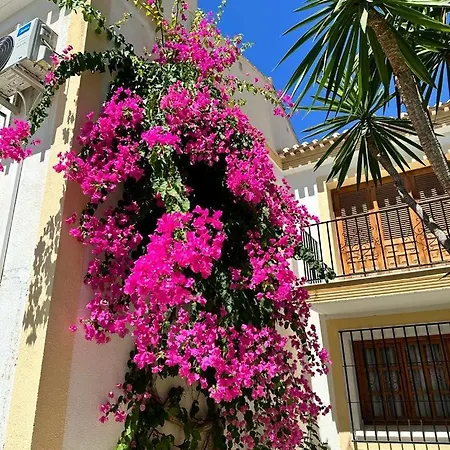 Lejlighed Casa De Carolina Vera Costa-bajo
